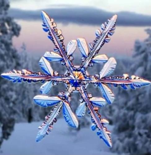 ,                                                                                                                                                                                                                          0 2