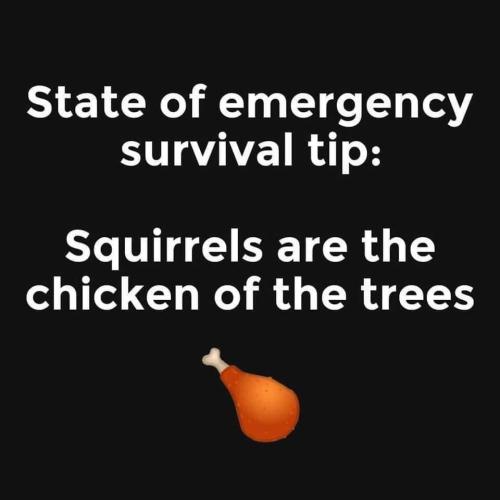 Survival Tip 1