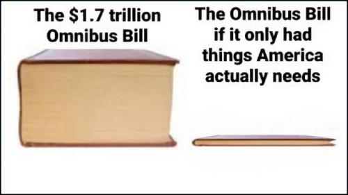 the 2023 omnibus bill20