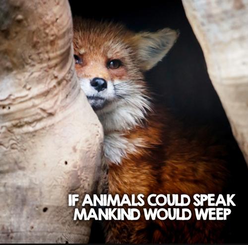 Screenshot_20230128_170256_YouTube