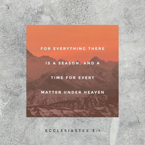 17:41:49 GMT-0800