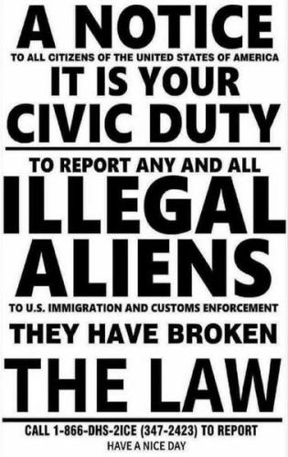 illegal immigration308