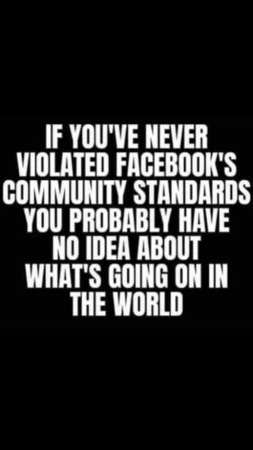 FB_IMG_1673798672443