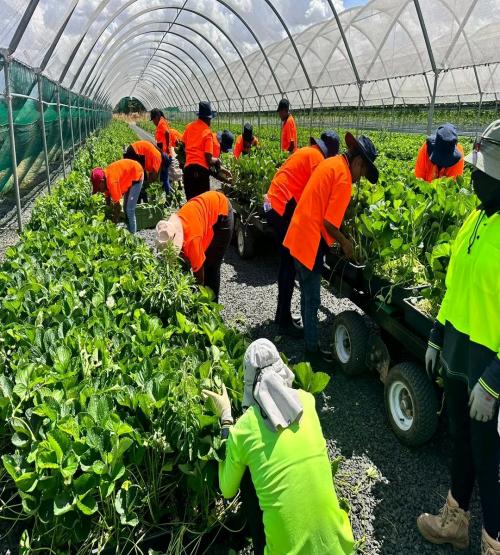 FB_IMG_16728100047475097