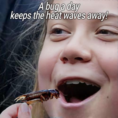 306133288_10222258308350628_2273544195788461027_n