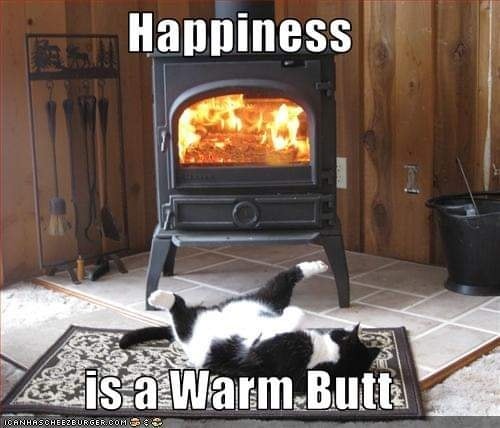 325595003_701804894676200_2035916911919833603_n