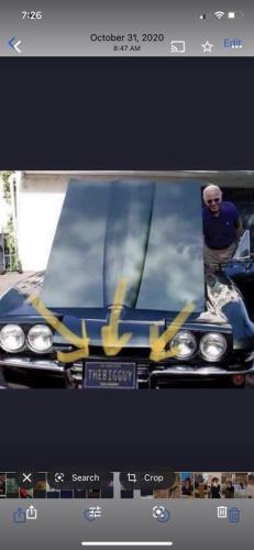 Social Media - Wimkin - The Big Guy license plat