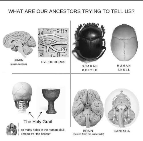 Screenshot_2023-01-24-02-47-23-85_1c337646f29875672b5a61192b9010f9