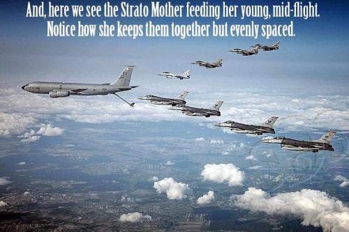 FB_IMG_1674874659779