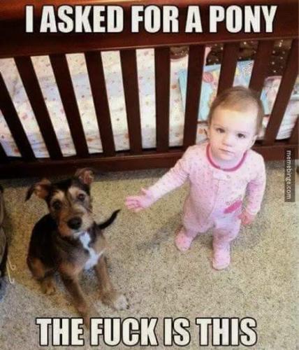 FB_IMG_1673022091509