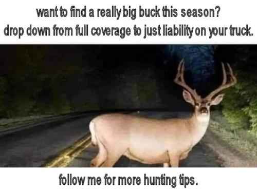 want to find a really big buck this season