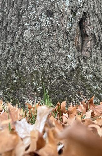 23:26:34 GMT-0600 (Central Standard Time).image