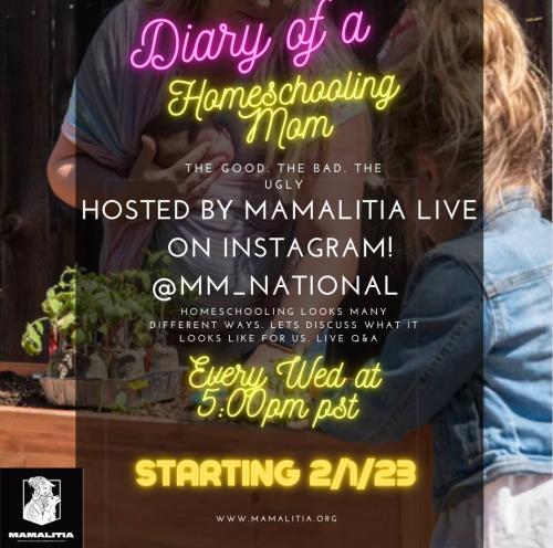 Instagram Series - Every Wed beginning Feb 1, 2023 - Diary of a Homeschooling Mom