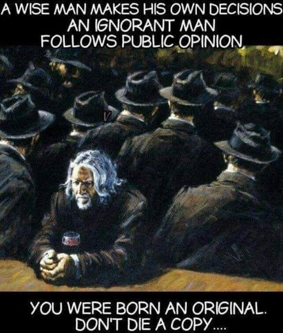 sheeple68