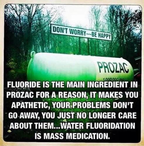 prozac
