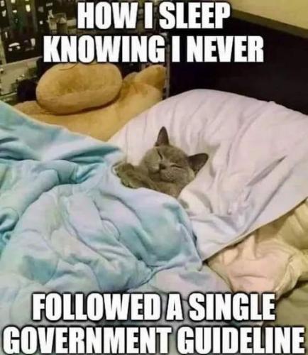 never following a single government guideline