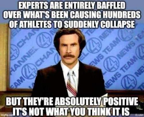 f4025276-bed6-436e-92bd-55fb6ded0e71