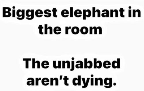 607fe08a-f5e7-4eda-a2af-d2a7e754acfd