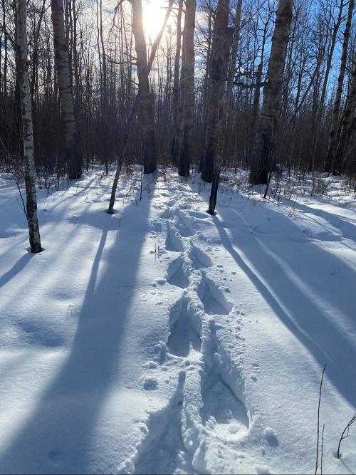 65E704FA-C947-4B47-AD94-BCB722FF0D5B