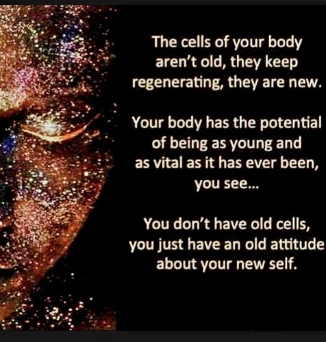 Screenshot_20221230_231913_YouTube