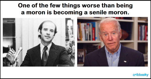 senile_moron_biden