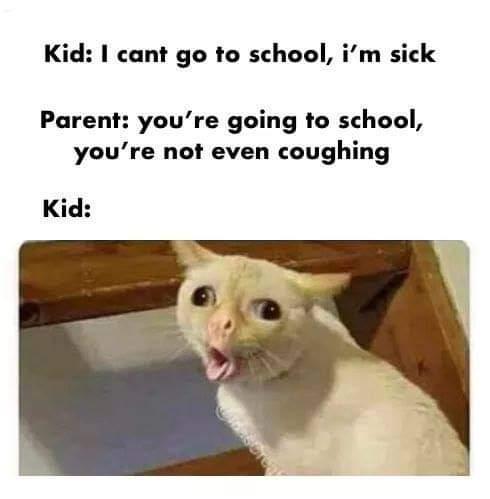 483524b3-5668-43fd-a183-0efbb6037a1a