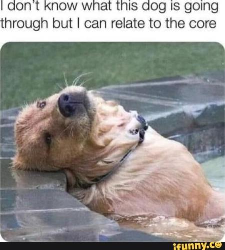 1964e6d6-6895-42fb-b6e1-a71930c1ae07