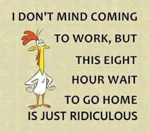 327482859_494114306234800_5989366587893438833_n