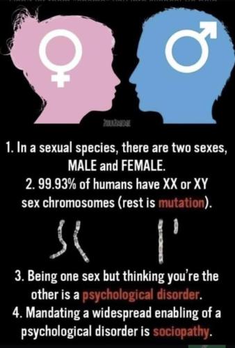 f99041ff-958c-47b5-be2c-d120c3d530c5