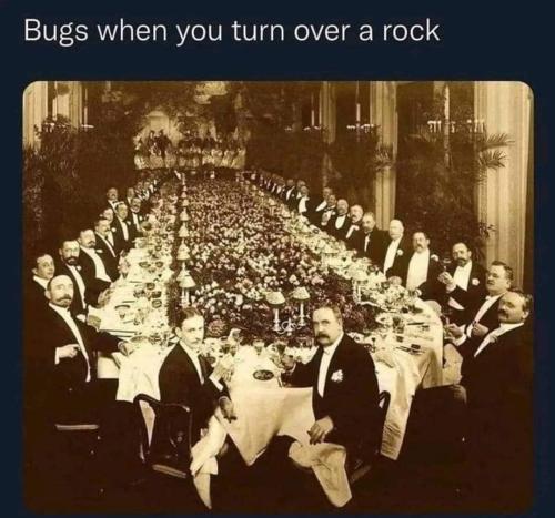 FB_IMG_1673536863875