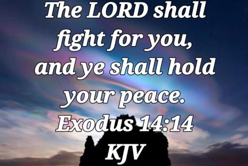 22:11:03 GMT-0800 (PST)