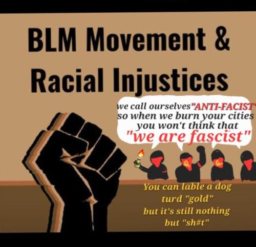 Screenshot_20230130-040835_Wimkin Free Speech Social Media