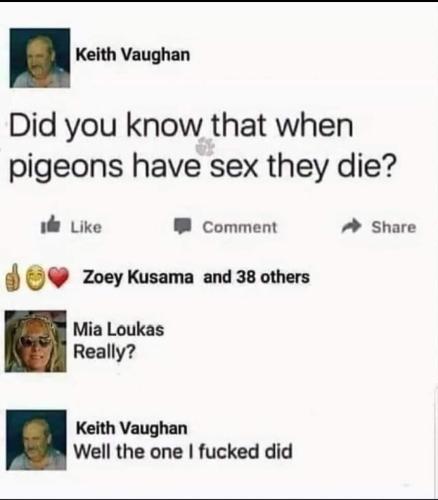 FB_IMG_1673537115859