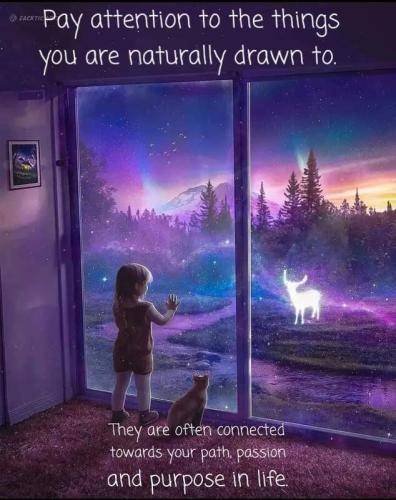 Pay Attention to Your Talents