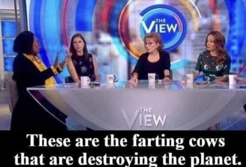 IMG_20230120_072107_307