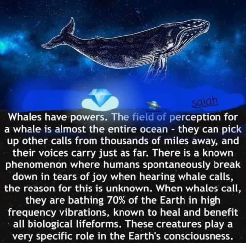 IMG_20230114_202112_612