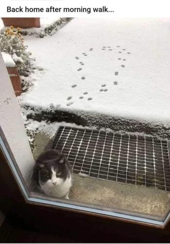 323440961_1284780939037726_8121121352814245852_n