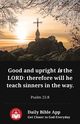 2023-01-161673920487318