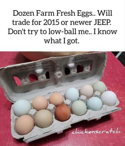 FB_IMG_1673228683072