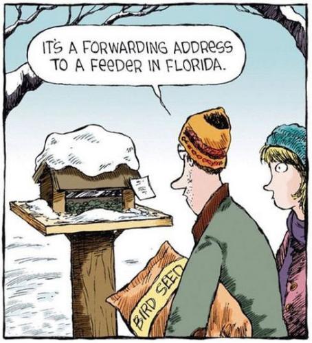 its a forwarding address to a feeder in florida