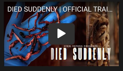 Screenshot_2023-01-04-23-56-01-76_40deb401b9ffe8e1df2f1cc5ba480b12