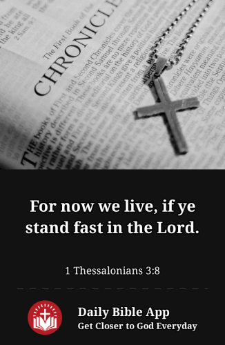 2023-01-231674529876807