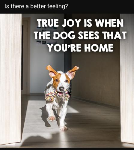 Screenshot_20230119_222536_YouTube