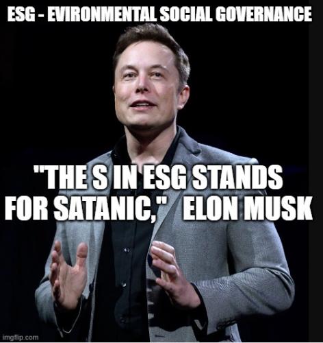 Elon Musk ESG 1
