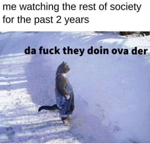 Society 1
