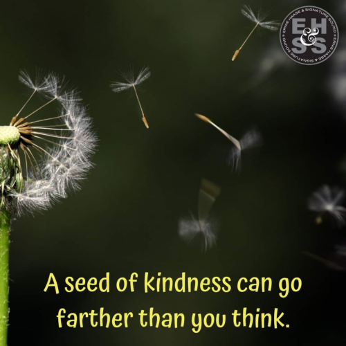 Sow seeds of kindness