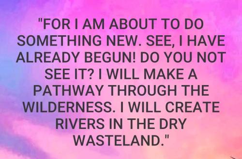 19:43:37 GMT-0500 (EST)