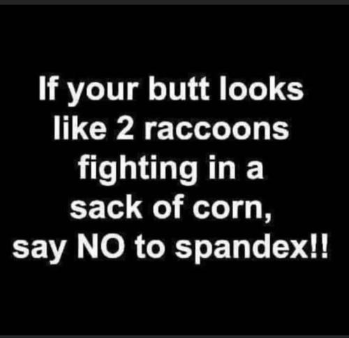 88fabb3f65422b078352ea9867f97005_1024