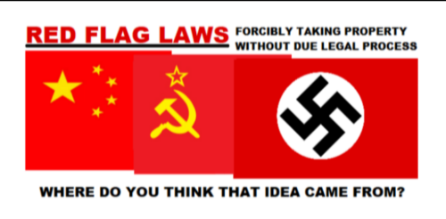 red_flag_laws_stealing_property