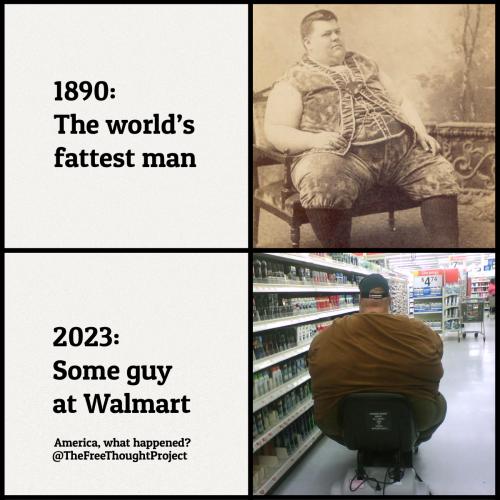 fggwgewewgewfwefwefwef